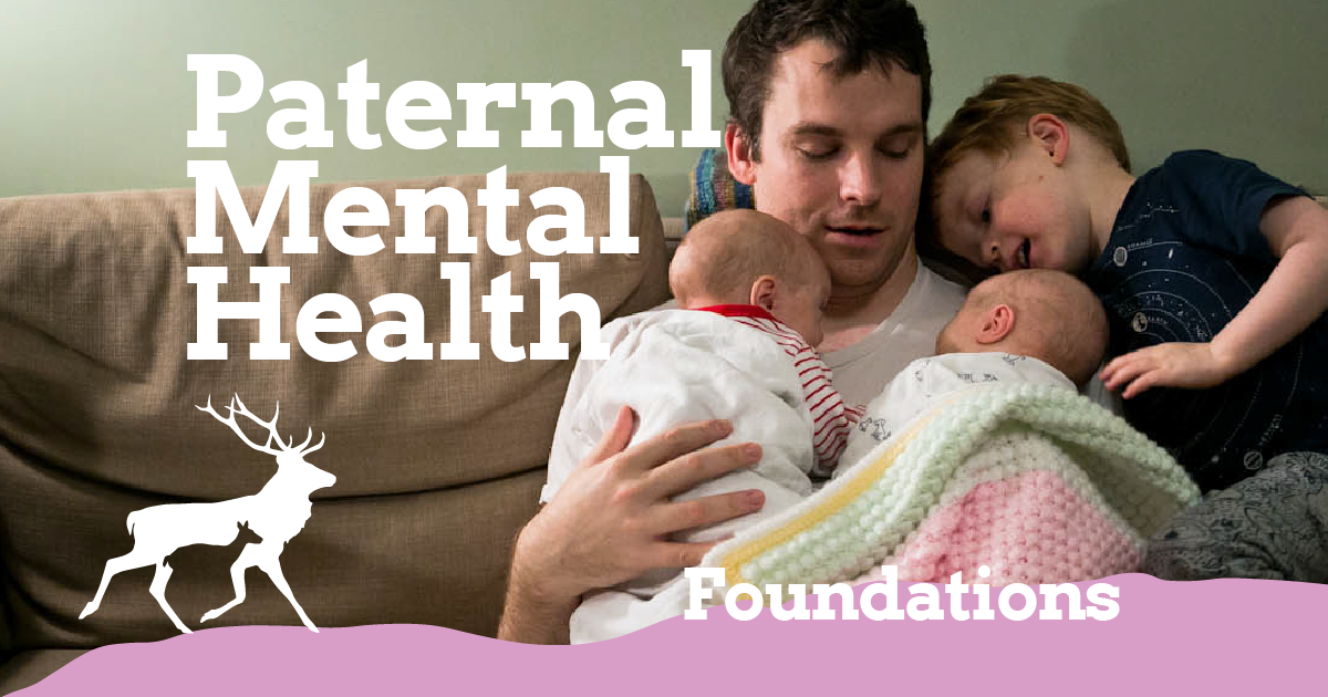 Paternal_Health_Foundations image