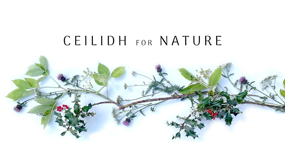 ceilidhnature image